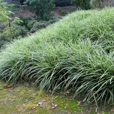 Без имени-143